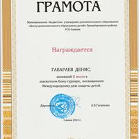 Габараев Денис.jpeg