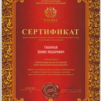 Габараев Денис..jpeg